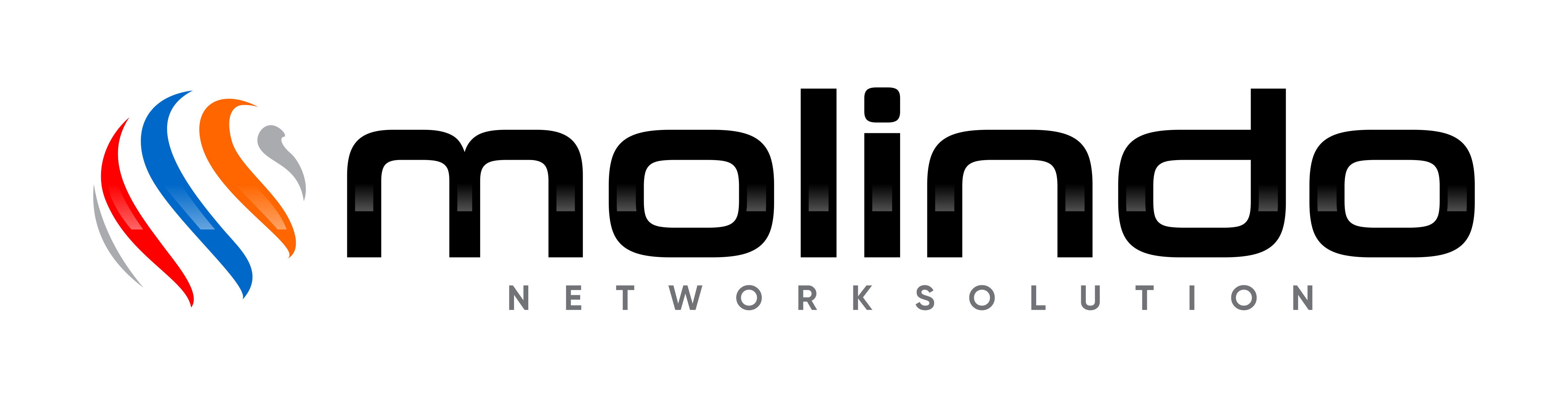 Molindo Network Solution